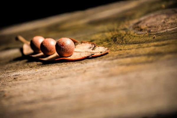 Sample Product with Image